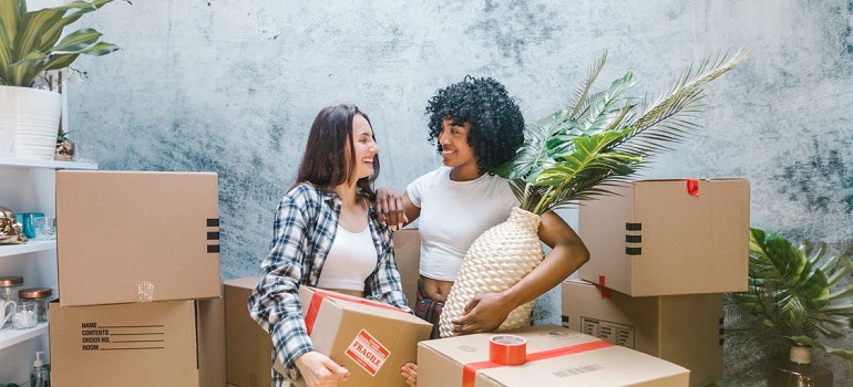 pexels photo 7464467 movers and client having fun