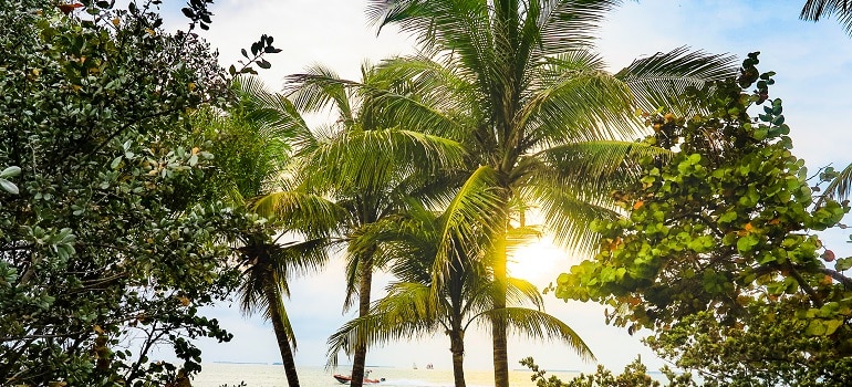 pexels photo 2225499 Florida beaches is what you can expect when moving from Brandon to Tampa