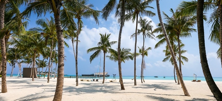 pexels photo 1457812 lovely Florida beach